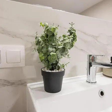 Skyline View Luxury 호텔 티미쇼아라